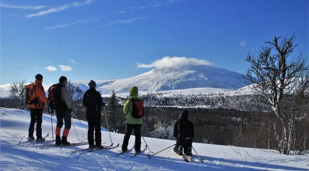 Skiwandern in freier Natur (Bild)