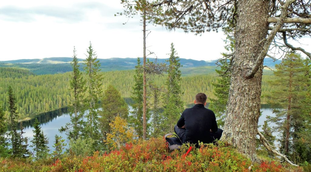 Wilderness Retreat in Norway (picture)