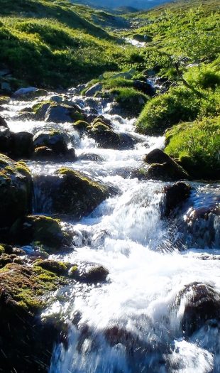 Natur-Retreat - Veränderung Leben (Bild)