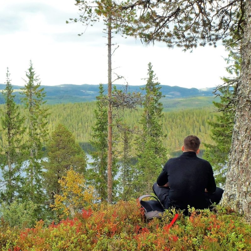 Wilderness Retreat in Norway (picture)