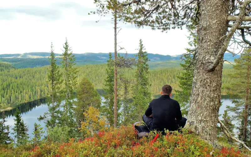 Wilderness Retreat in Norway (picture)