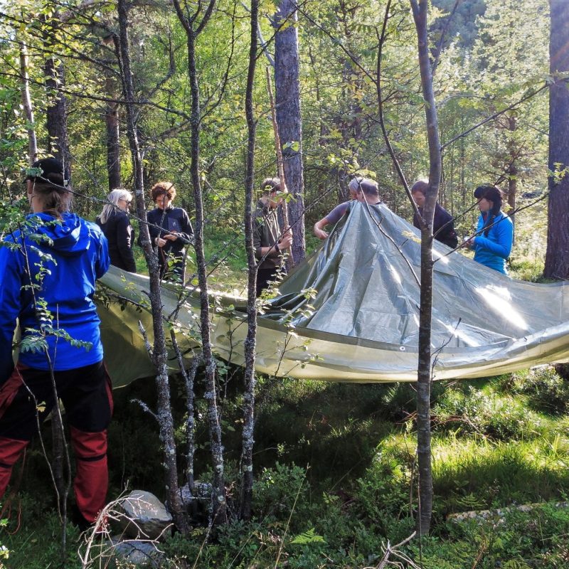 Wildniscamps: Outdoortrainings (Bild)