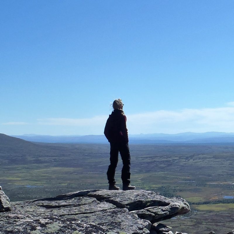 Wildnisreisen in Norwegen (Bild)