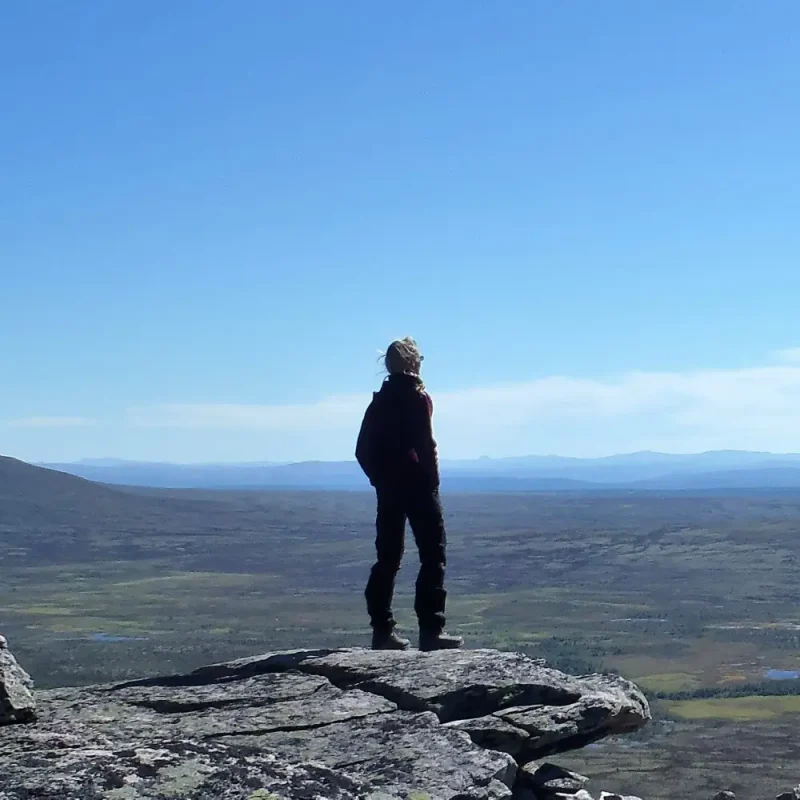 Wildnisreisen in Norwegen (Bild)