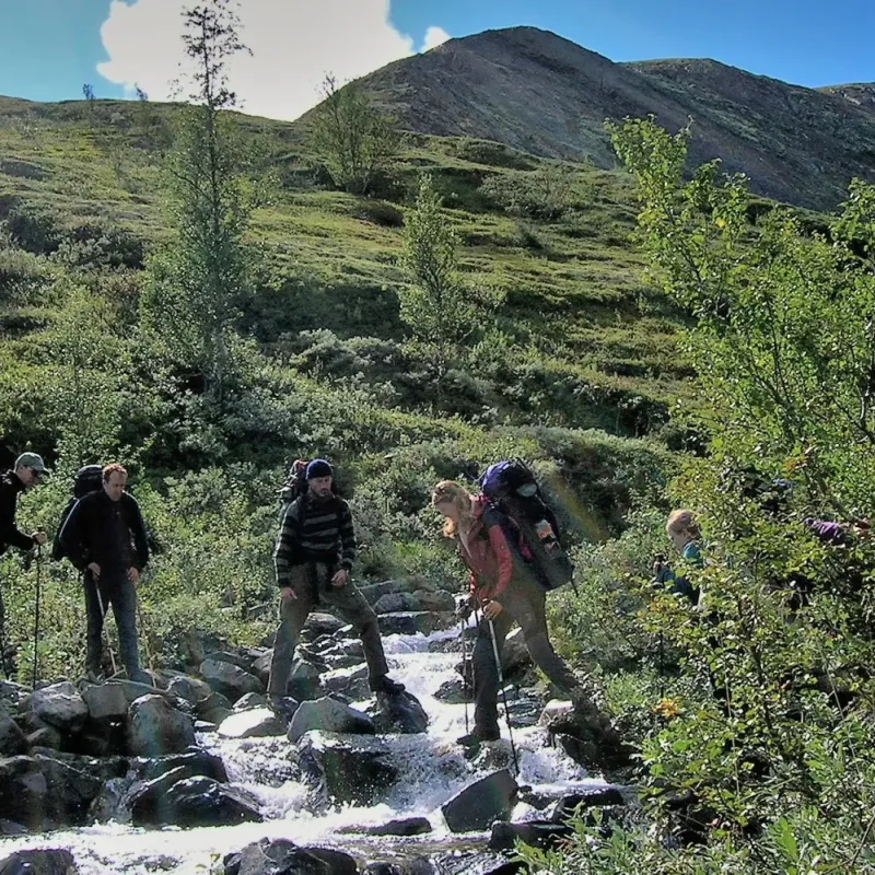 Wildniswandern: Wandern in freier Natur (Bild)